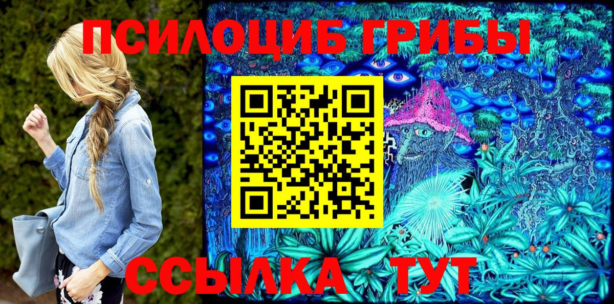 Большой Камень  Псилоцибиновые грибы мицелий  наркота  Вход с VPN 